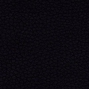 Vinyl Black 23