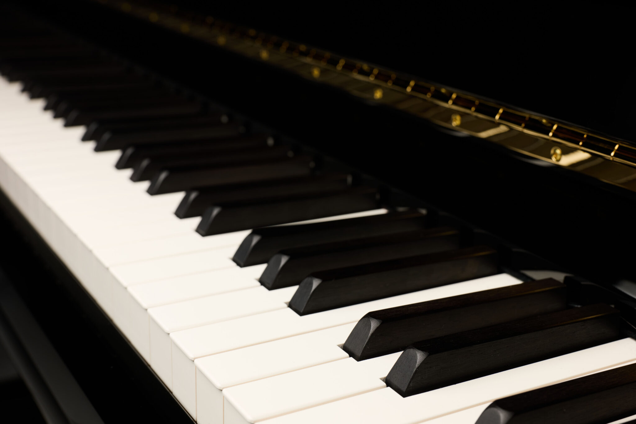 Kawai MS-130 NEOTEX & Ebony Keys
